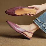 Catarina | Soletta